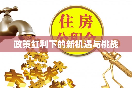瑞昌政策红利下的新机遇与挑战