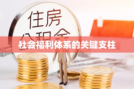 瑞昌社会福利体系的关键支柱