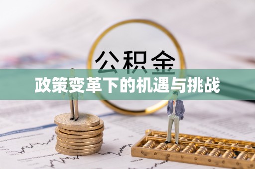 瑞昌政策变革下的机遇与挑战