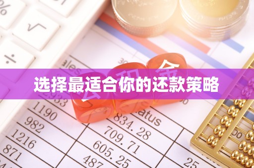 瑞昌选择最适合你的还款策略